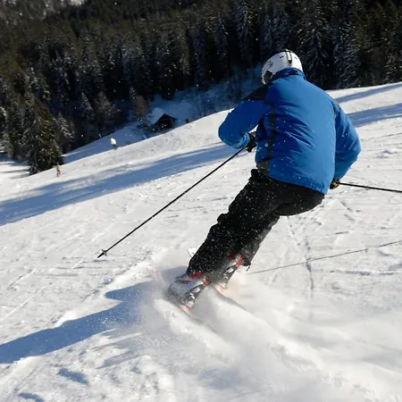 شقة Haus Tanneck - Fewo 3- Feldberg Im Schwarzwald - #a32908 *