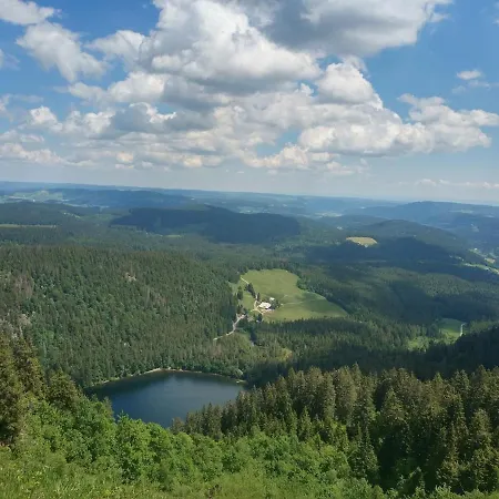 Haus Tanneck - Fewo 3- Feldberg Im Schwarzwald - #a32908 شقة Rotwasser
