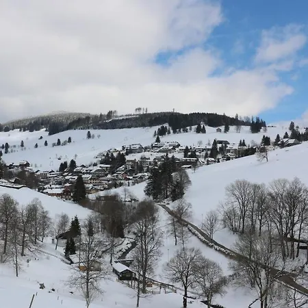 Haus Tanneck - Fewo 3- Feldberg Im Schwarzwald - #a32908 شقة